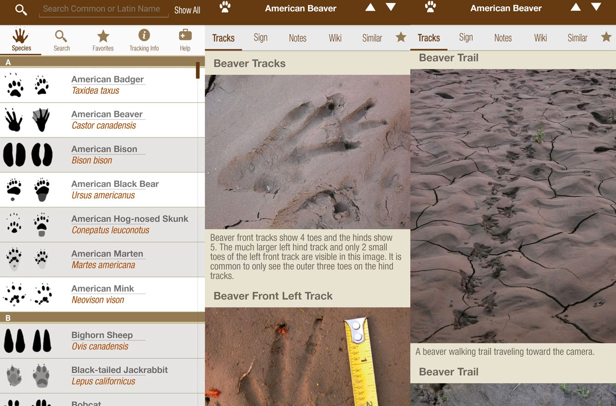 10 програм для виживання та екстрених ситуацій