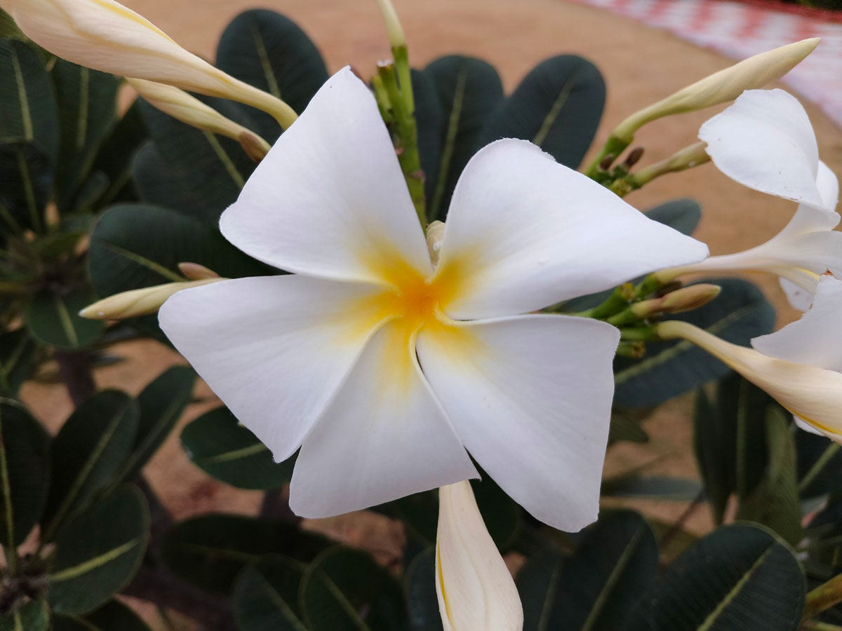 Огляд смартфона Realme C33: характеристики, відгуки, чи варто купувати в 2024 році?