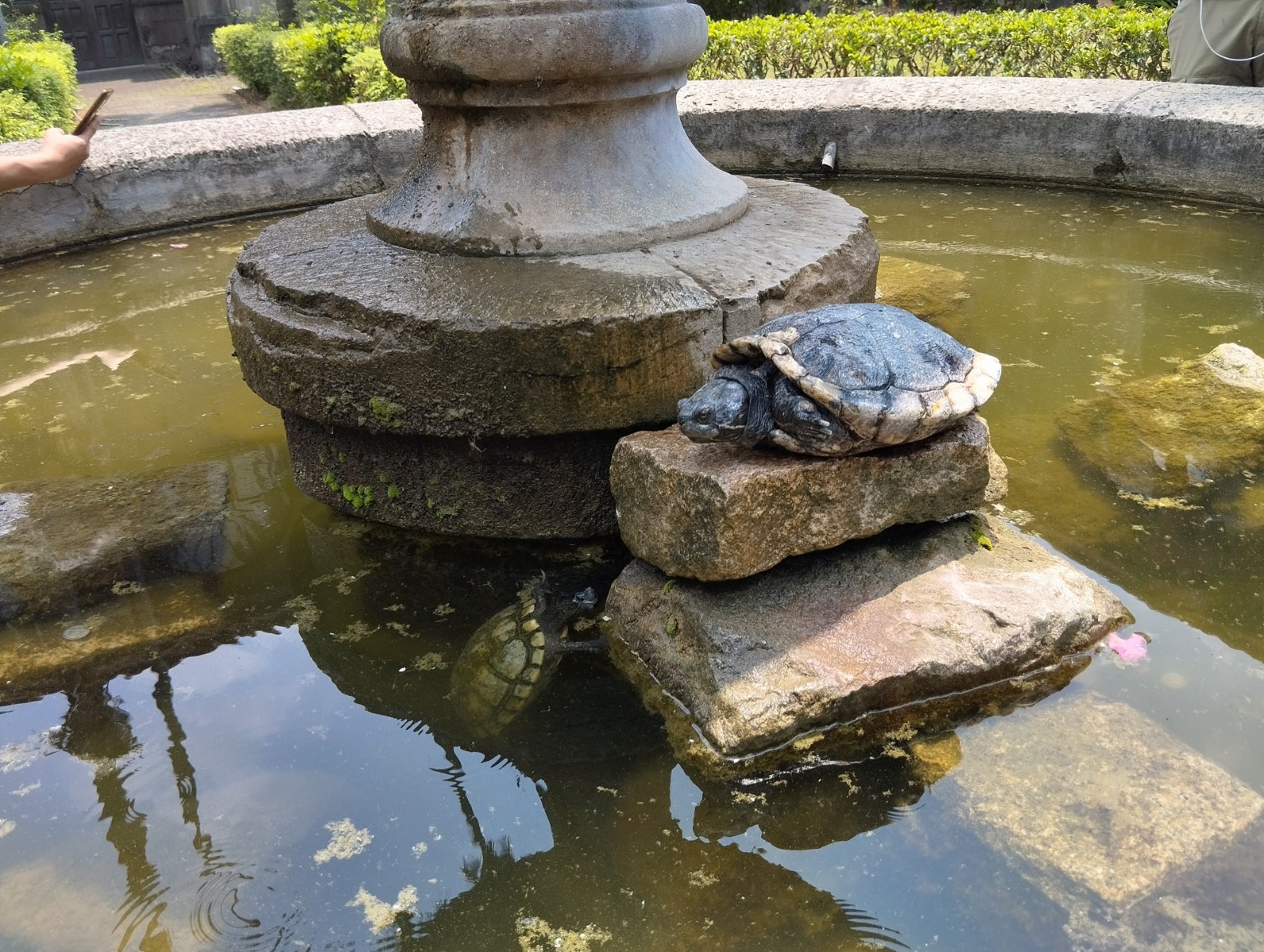 Огляд смартфону Xiaomi Redmi Note 12 — бюджетний пристрій з топовою начинкою