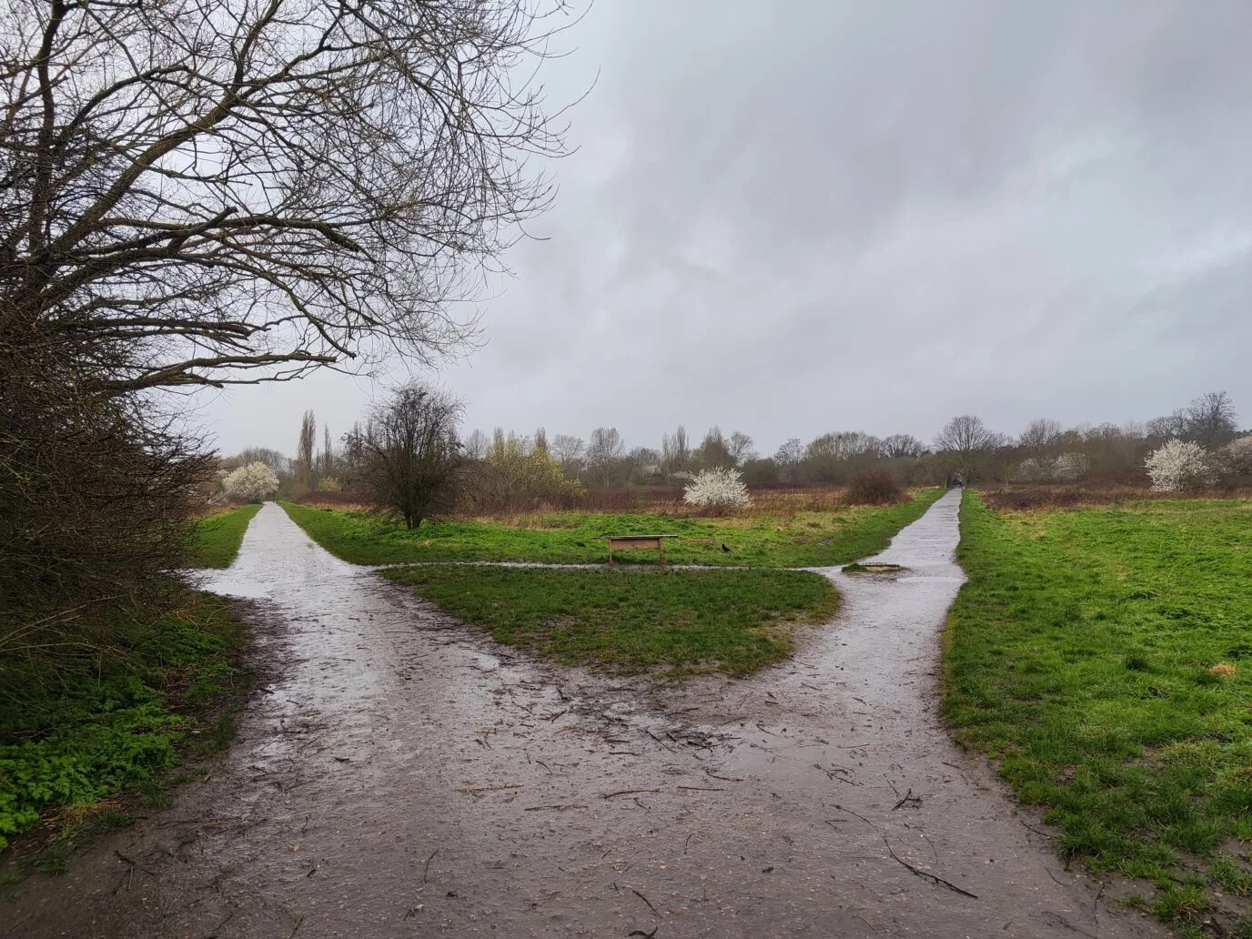 Повний огляд Xiaomi 13 Lite у 2023 році: Чи варто купувати?