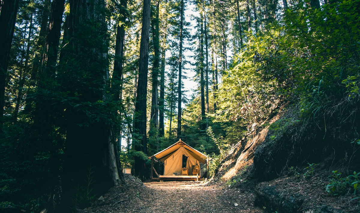Як організувати бюджетний літній відпочинок: ТОП ґаджетів і лайфхаків, які вам знадобляться