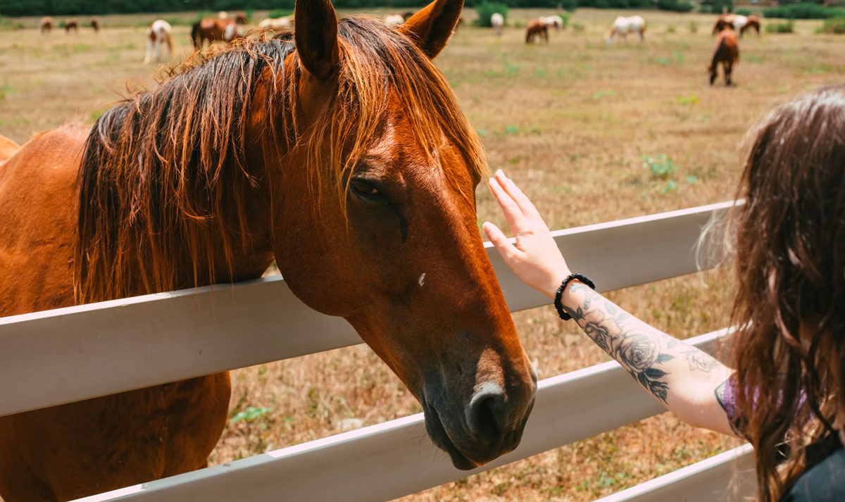 Як організувати бюджетний літній відпочинок: ТОП ґаджетів і лайфхаків, які вам знадобляться