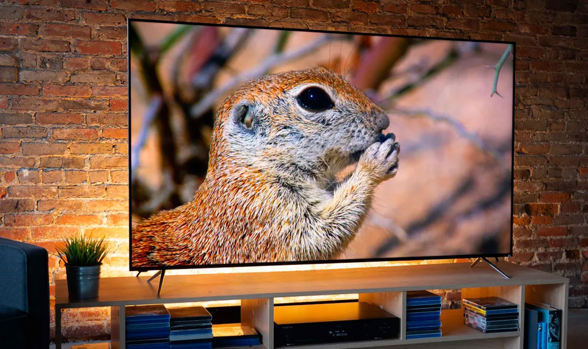 Телевізор якого типу дисплея обрати в 2023 році?