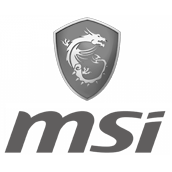 MSI