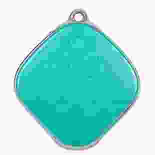 GoGPSme GPS трекер-кулон D15[D15GN]